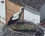 Capi_Dubne_20250414_141002.jpg