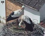 Capi_Dubne_20250414_142002.jpg