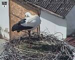 Capi_Dubne_20250414_143003.jpg