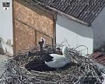 Capi_Dubne_20250414_143503.jpg