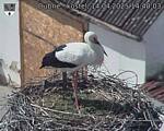 Capi_Dubne_20250414_144003.jpg