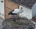 Capi_Dubne_20250414_145003.jpg