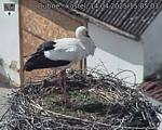Capi_Dubne_20250414_150503.jpg