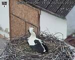 Capi_Dubne_20250414_152003.jpg