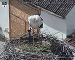Capi_Dubne_20250414_152503.jpg