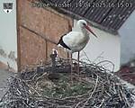Capi_Dubne_20250414_161503.jpg