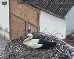 Capi_Dubne_20250414_162503.jpg