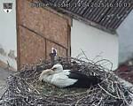 Capi_Dubne_20250414_163003.jpg