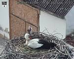 Capi_Dubne_20250414_163503.jpg
