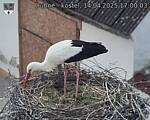 Capi_Dubne_20250414_170003.jpg