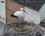 Capi_Dubne_20250414_170503.jpg