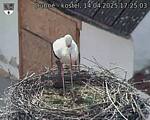 Capi_Dubne_20250414_172503.jpg