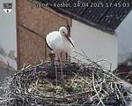 Capi_Dubne_20250414_174503.jpg