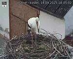 Capi_Dubne_20250414_180502.jpg