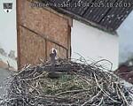 Capi_Dubne_20250414_182003.jpg