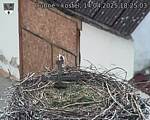 Capi_Dubne_20250414_182503.jpg