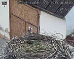 Capi_Dubne_20250414_183003.jpg
