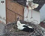 Capi_Dubne_20250414_183503.jpg