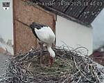 Capi_Dubne_20250414_184003.jpg