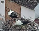 Capi_Dubne_20250414_185002.jpg