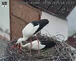 Capi_Dubne_20250414_185503.jpg