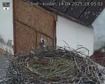 Capi_Dubne_20250414_190502.jpg