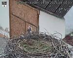 Capi_Dubne_20250414_191003.jpg