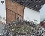 Capi_Dubne_20250414_191503.jpg