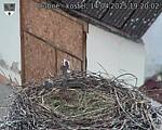 Capi_Dubne_20250414_192002.jpg