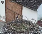 Capi_Dubne_20250414_192503.jpg