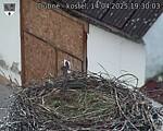 Capi_Dubne_20250414_193003.jpg
