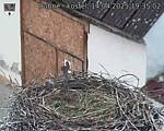 Capi_Dubne_20250414_193502.jpg