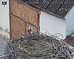 Capi_Dubne_20250414_194003.jpg