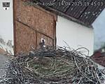 Capi_Dubne_20250414_194503.jpg