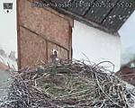 Capi_Dubne_20250414_195502.jpg