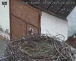 Capi_Dubne_20250414_200003.jpg