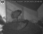 Capi_Dubne_20250414_204002.jpg