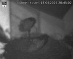 Capi_Dubne_20250414_204502.jpg