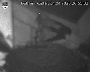 Capi_Dubne_20250414_205502.jpg (1350 x 1080)