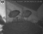 Capi_Dubne_20250414_211502.jpg