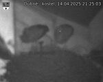 Capi_Dubne_20250414_212503.jpg