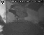 Capi_Dubne_20250414_213002.jpg