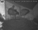 Capi_Dubne_20250414_213503.jpg