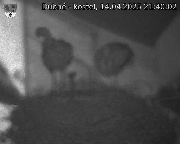 Capi_Dubne_20250414_214002.jpg (1350 x 1080)