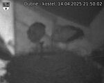 Capi_Dubne_20250414_215002.jpg