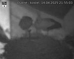 Capi_Dubne_20250414_215503.jpg