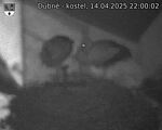 Capi_Dubne_20250414_220002.jpg
