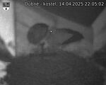 Capi_Dubne_20250414_220502.jpg