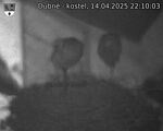 Capi_Dubne_20250414_221003.jpg