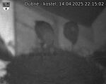 Capi_Dubne_20250414_221502.jpg